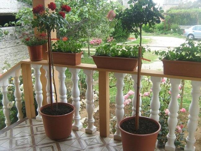 Apartment In Nin With Terrace, Air Conditioning, Wi-Fi Buitenkant foto
